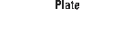 Plate