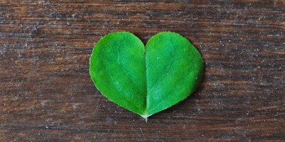 Green leaf in the shape of a heart represents the product’s sustainability
