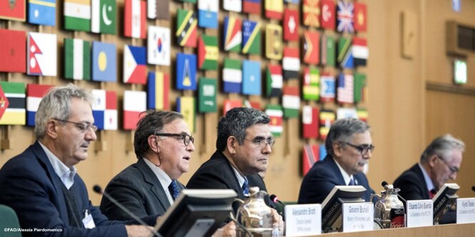 Five men sitting in a row on a panel being asked and answering questions during a United Nations Conference.
