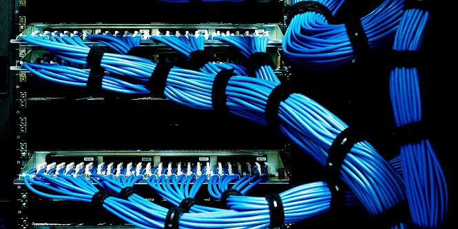 servers with well organized blue data cables
