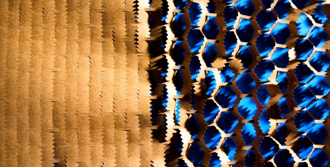 Green circle with Science for Circular text to the right.
