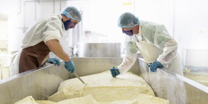 Dairy processing food safety products

