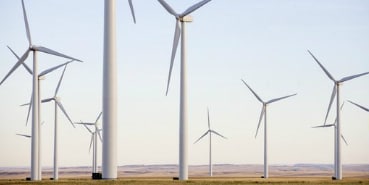 Image of wind turbines in a field
