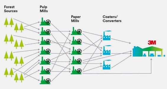 3M supply chain graphic: forest sources to pulp mills to paper mills to coaters/converters to 3M.
