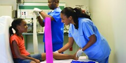 3M Self-Adherent Wraps
