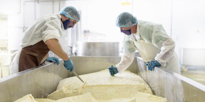 Workers cutting cheese at a dairy manufacturing facility.
