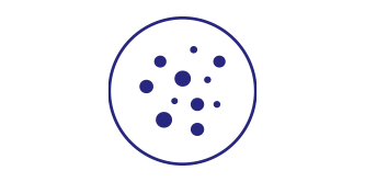 close up of particulates in the air

