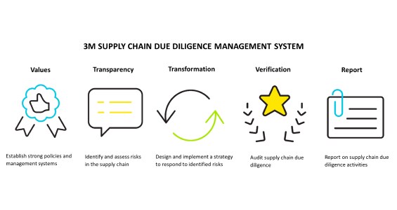 3M supply chain Due Diligence Management System: Values, Transparency, Transformation, Validation, Report.

