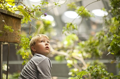 boy sitting in a garden