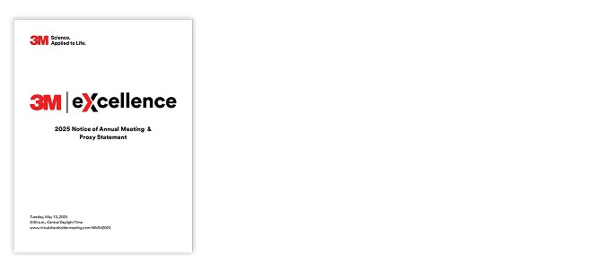 3M excellence report.
