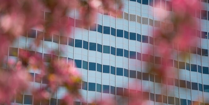 Corporate governance text over a glass office building facade, with pink blurred foliage framing the foreground.
