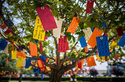 Tree with tags of messages on them.