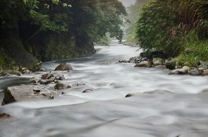A natural scene; trees hover over a river that rushes over rocks. 