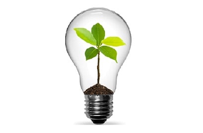 LED lighting helps improve plant efficiency.
