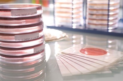 3M Petrifilm™ Plates