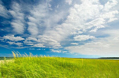 sunny day blue sky with clouds over a green field