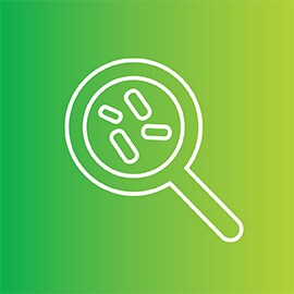 Bacteria under magnifying glass