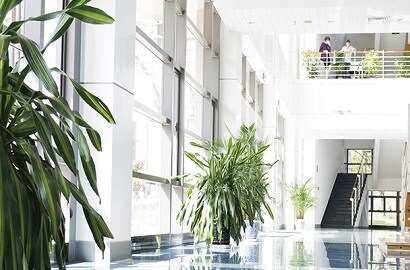 window film applied on a commercial building to reduce cooling expenses