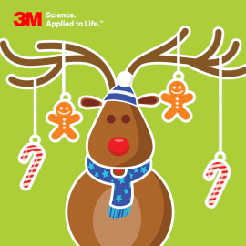 The Science of Santa